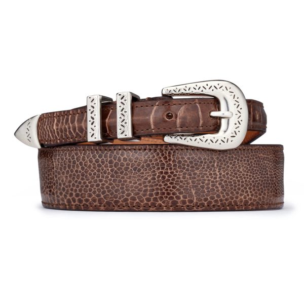 brown exotic ostrich leather amboise belt, rolled